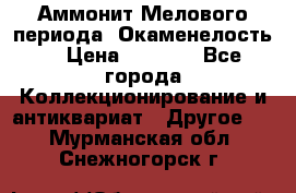 Аммонит Мелового периода. Окаменелость. › Цена ­ 2 800 - Все города Коллекционирование и антиквариат » Другое   . Мурманская обл.,Снежногорск г.